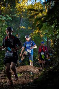 BIB: 2147
                            <button type="button" onclick="openModal(19236824)" class="btn btn-primary btn-sm float-right btn-popup" data-toggle="modal" data-target=".modal-high-quality">
                        <i class="fas fa-shopping-cart"></i> Add to Cart
                    </button>
                                            <button type="button" onclick="isThisMe(19236824, true)" class="btn btn-success btn-sm float-right btn-popup btn-isme hidden" data-toggle="tooltip" data-placement="bottom" title="นี่คือรูปของคุณใช่ไหม คลิกที่นี่เพื่อเอาเข้าอัลบั้ม">
                        <i class="fas fa-plus"></i> Add to album
                    </button>
                    <button type="button" onclick="isThisMe(19236824, false)" class="btn btn-warning btn-sm float-right btn-popup btn-isnotme hidden">
                        <i class="fas fa-ban"></i> Remove from album
                    </button>